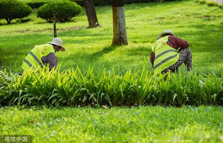 道县锦绣花园绿化工程