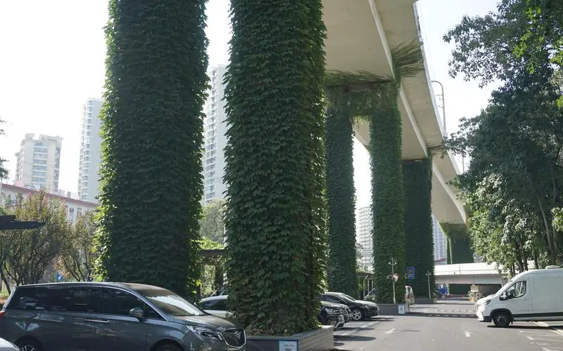 绿化工程植物种植现场